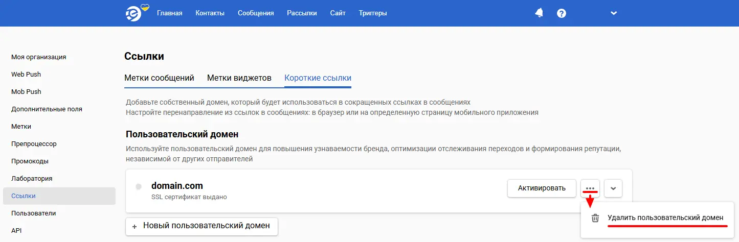 Удаление пользовательского домена Удаление пользовательского домена