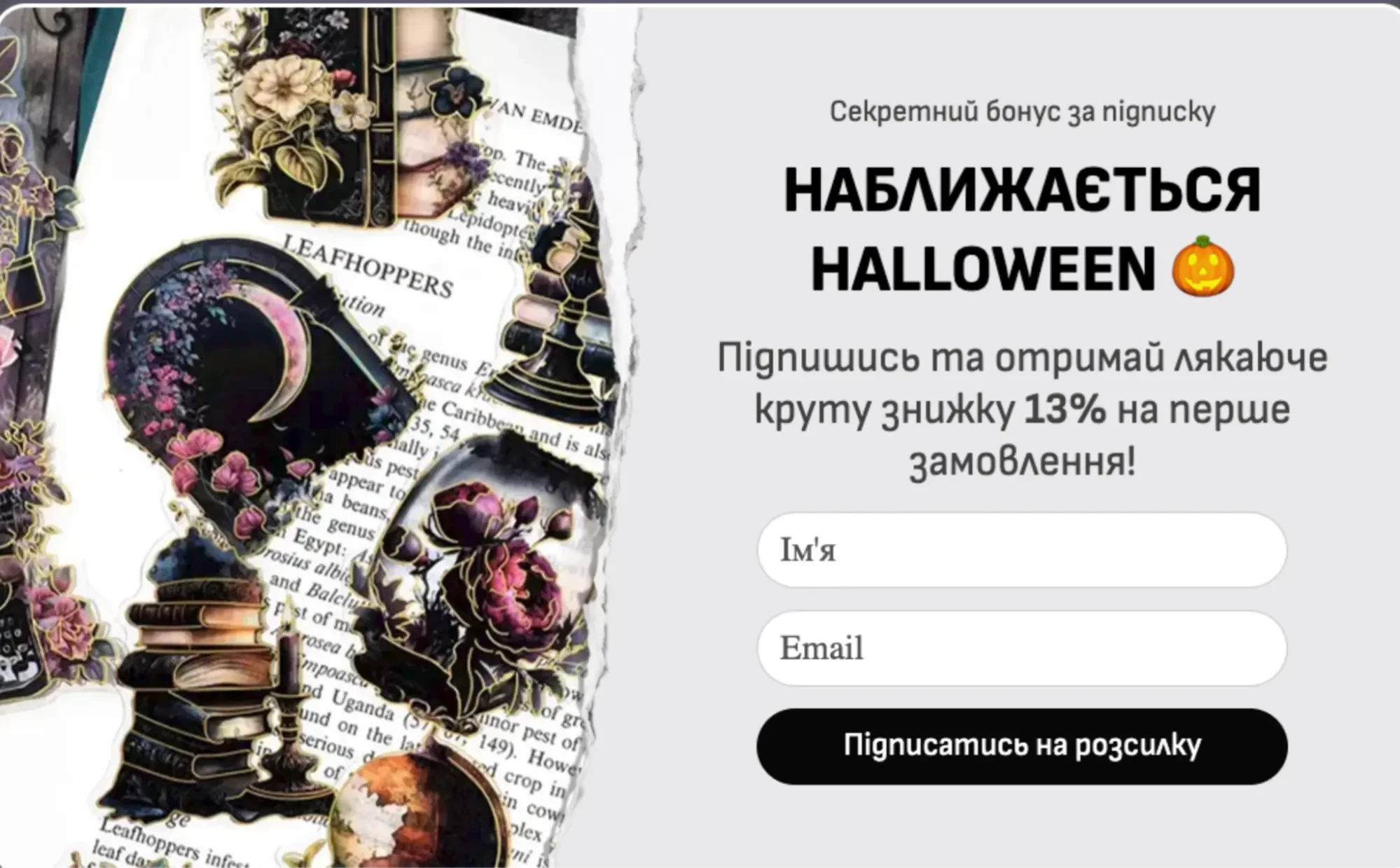 Приклад класичної форми підписки Приклад класичної форми підписки