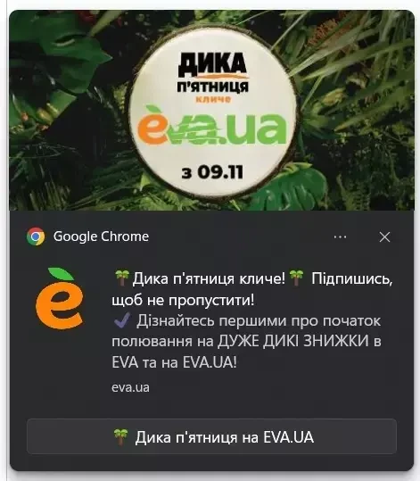 Web push від EVA до Дикої п’ятниці