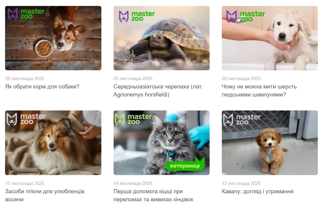 Приклади статей з блогу 