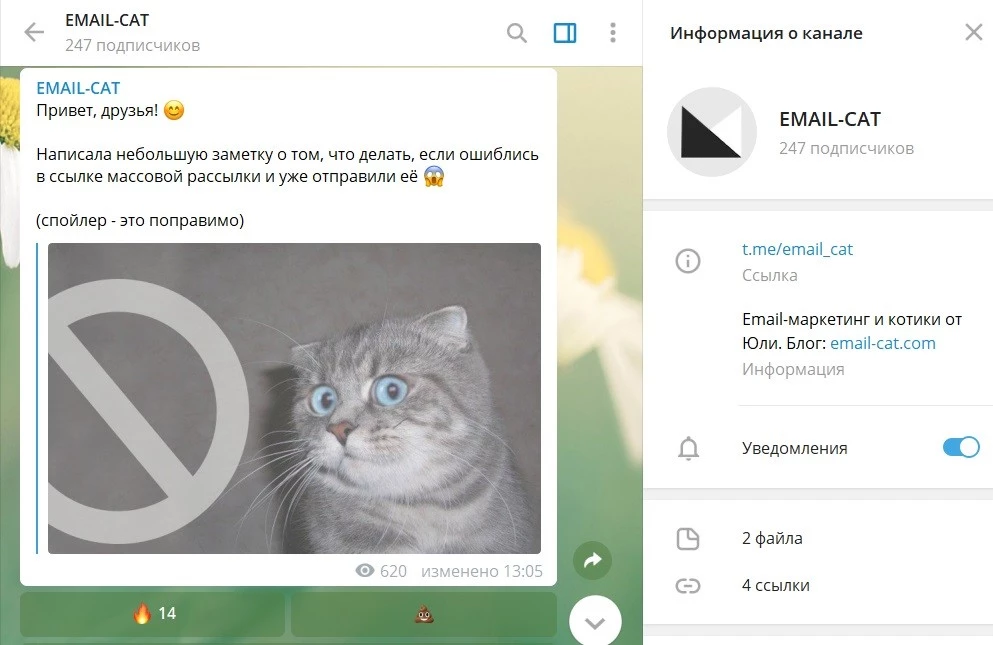 Email-Cat