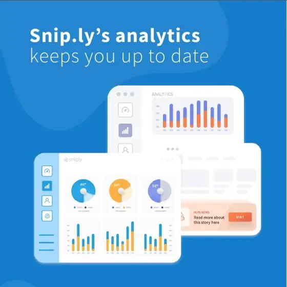 Иллюстративная аналитика в сервисе sniply.io (фото из Instagram)